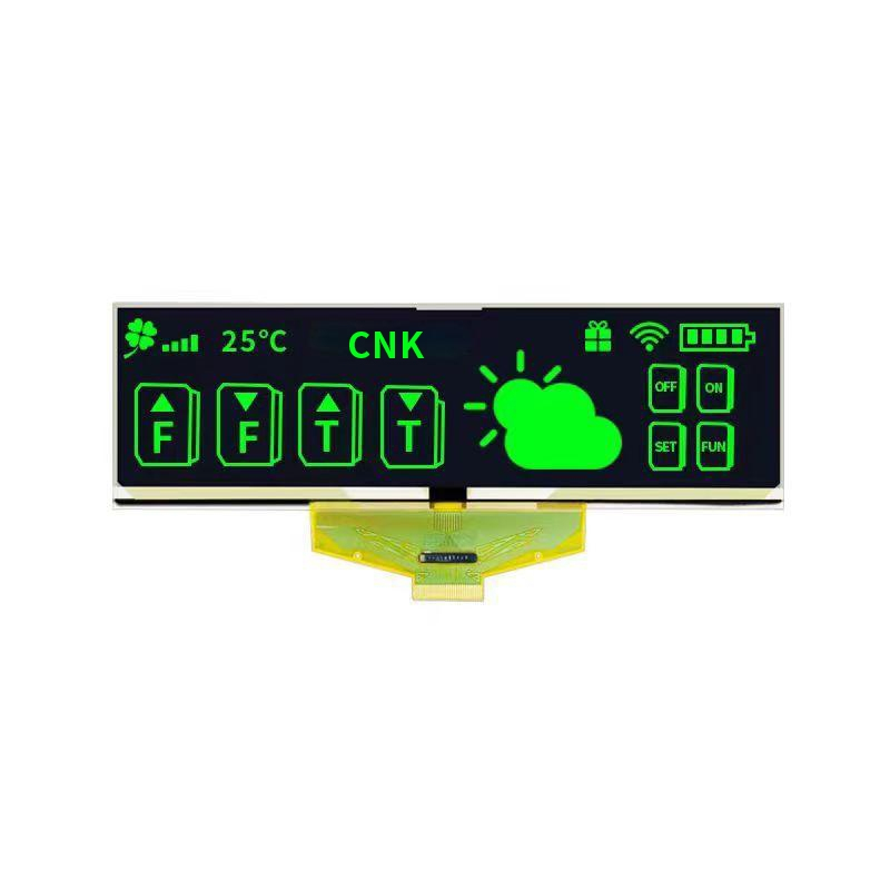5.5 inch PM OLED Panel